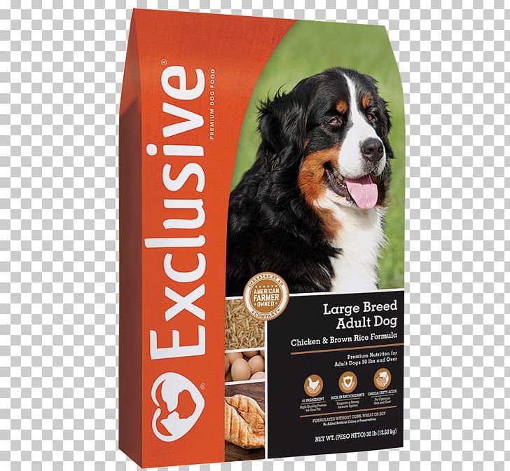 Dog Food Puppy Pet Food Dog Breed PNG, Clipart, Animals, Bernese Mountain Dog, Brown Rice, Cereal, Chicken As Food Free PNG Download