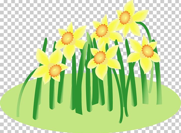 Floral Design Wild Daffodil Cut Flowers Bunch-flowered Daffodil PNG, Clipart, Art, Artwork, Cut Flowers, Daffodil, Floral Design Free PNG Download