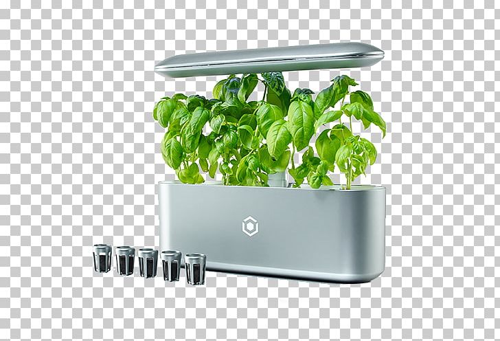 Gardening Hydroponics Garden Design Kitchen Garden PNG, Clipart, Diy Store, Garden, Garden Design, Gardening, Grow Light Free PNG Download