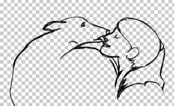 Italian Greyhound Whippet Drawing PNG, Clipart, Beak, Bird, Black And White, Canidae, Carnivoran Free PNG Download