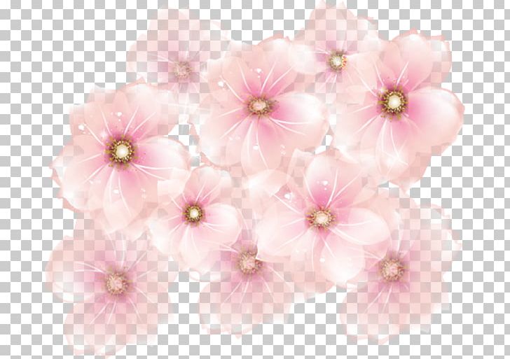 Pink Flowers Rose PNG, Clipart, Annual Plant, Art, Begonia, Blossom, Cherry Blossom Free PNG Download