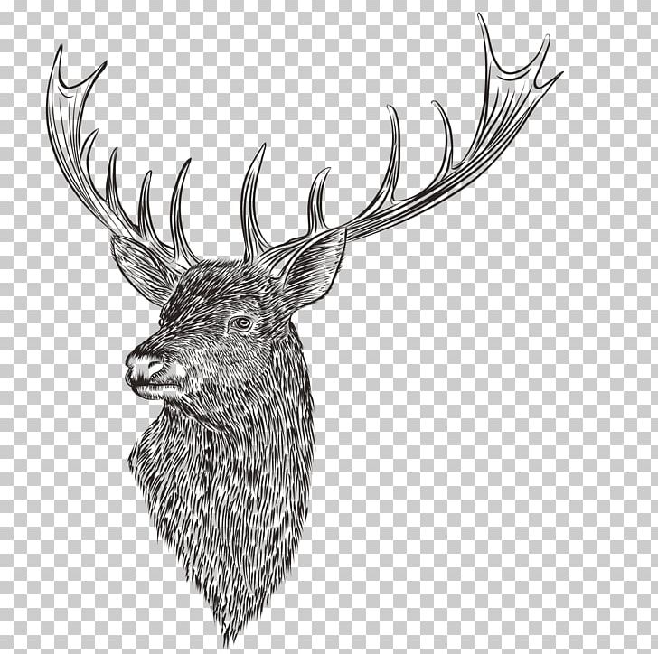 Reindeer Drawing PNG, Clipart, Adobe Illustrator, Animal, Antler, Cartoon, Deer Free PNG Download