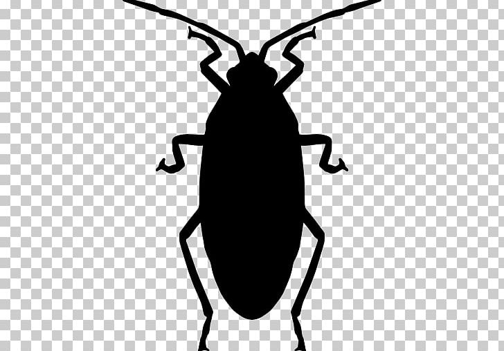 Oriental Cockroach Insect PNG, Clipart, American Cockroach, Animals, Artwork, Beetle, Black And White Free PNG Download