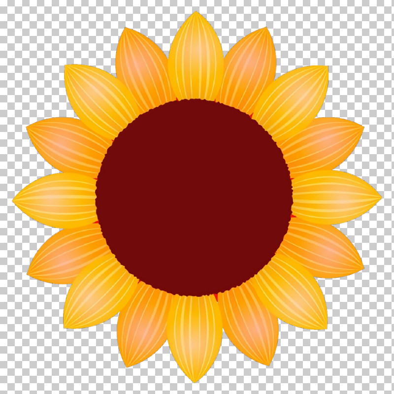 Sunflower PNG, Clipart, Daisy Family, Flower, Gazania, Gerbera, Orange Free PNG Download