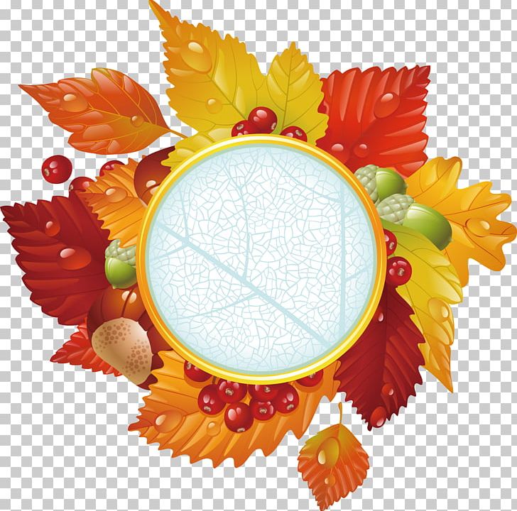 Autumn Leaf PNG, Clipart, Autumn Leaf Color, Autumn Leaves, Autumn Vector, Beautiful Vector, Encapsulated Postscript Free PNG Download