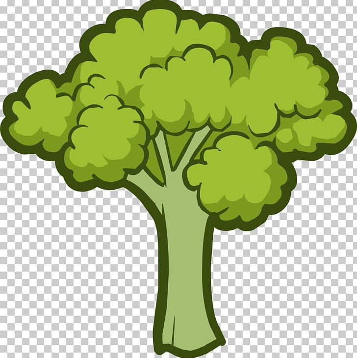 Broccoli Vegetable Lettuce PNG, Clipart, Brassica Oleracea, Broccoli, Flower, Flowering Plant, Food Free PNG Download