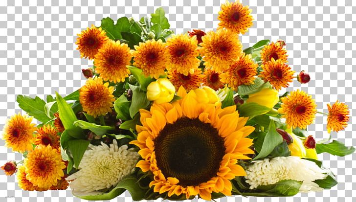 Common Sunflower Flower Bouquet Desktop PNG, Clipart, Annual Plant, Chrysanthemum, Common Sunflower, Cut Flowers, Daisy Family Free PNG Download