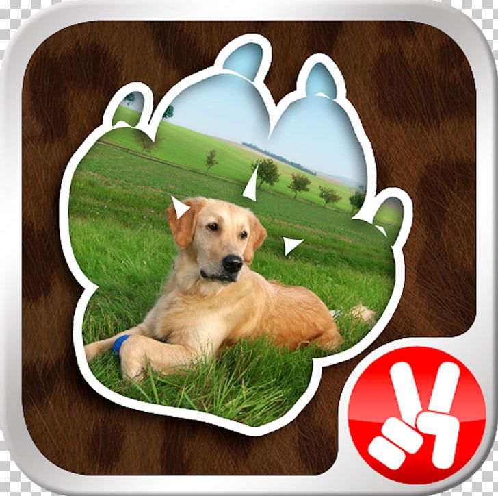 Dog Breed Puppy Horse Retriever Pet PNG, Clipart, Animal, Animals, Apple, App Store, Carnivoran Free PNG Download