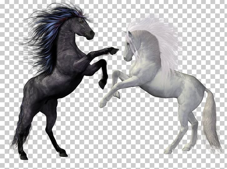 Horse Rearing Stallion Equestrian Unicorn PNG, Clipart, Animals, Autocad Dxf, Drawing, Equestrian, Fictional Character Free PNG Download