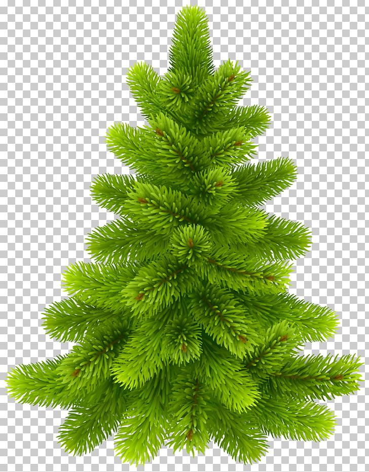 Christmas Tree Christmas Tree Pine PNG, Clipart, Biome, Branch, Christmas, Christmas Card, Christmas Decoration Free PNG Download