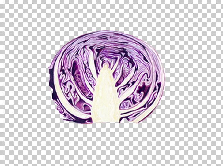 Red Cabbage Food Vegetable Purple PNG, Clipart, Brussels Sprout, Cabbage, Cabbage Vector, Circle, Collard Greens Free PNG Download