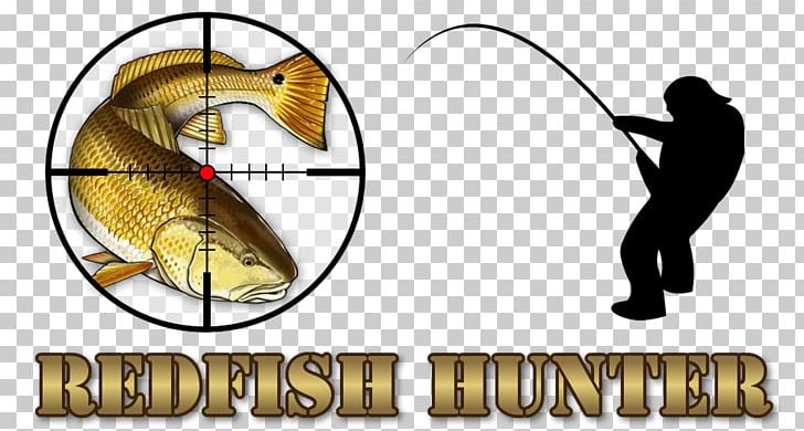 Homosassa Crystal River Fishing Desktop PNG, Clipart, Airboat, Crystal River, Desktop Wallpaper, Fishing, Florida Free PNG Download