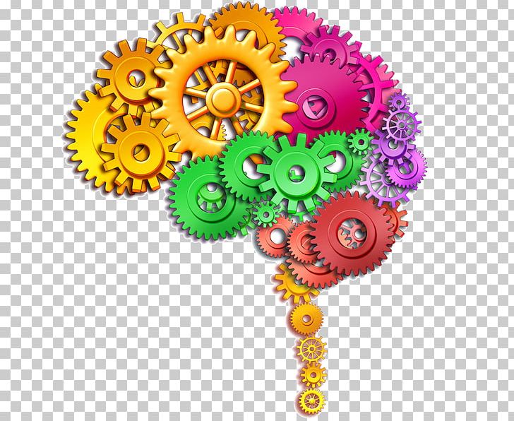 Human Brain Stock Photography Function PNG, Clipart, Brain, Clip Art, Cognitive Science, Creative, Cut Flowers Free PNG Download