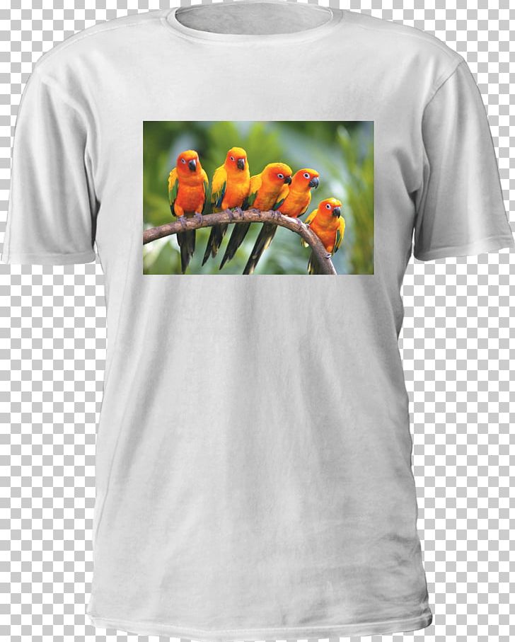 Printed T-shirt Hoodie Dye-sublimation Printer Printing PNG, Clipart, Active Shirt, Brand, Clothing, Dyesublimation Printer, Flower Free PNG Download