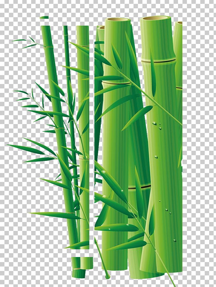 Daqing Bamboo Adobe Illustrator PNG, Clipart, Art, Autumn Leaves, Bamboe, Bamboo, Bamboo Leaves Free PNG Download