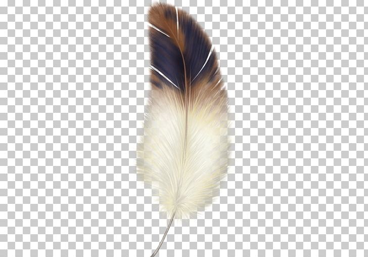 Paper Feather PNG, Clipart, Animals, Drawing, Encapsulated Postscript, Euclidean Vector, Feather Free PNG Download