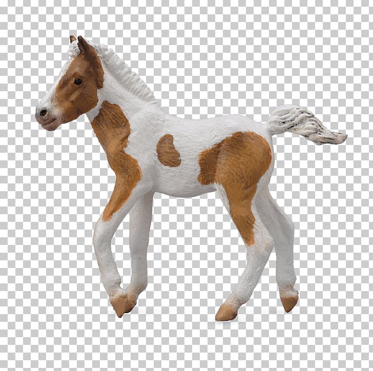 Dartmoor Pony Foal Mare Clydesdale Horse PNG, Clipart, Animal Figure ...