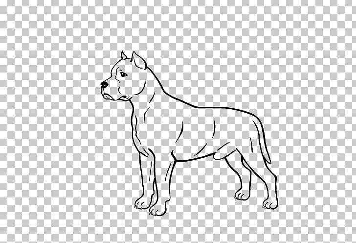 Dog Breed Puppy Whiskers Snout PNG, Clipart, American Staffordshire Terrier, Amstaff, Animal, Animals, Big Cats Free PNG Download