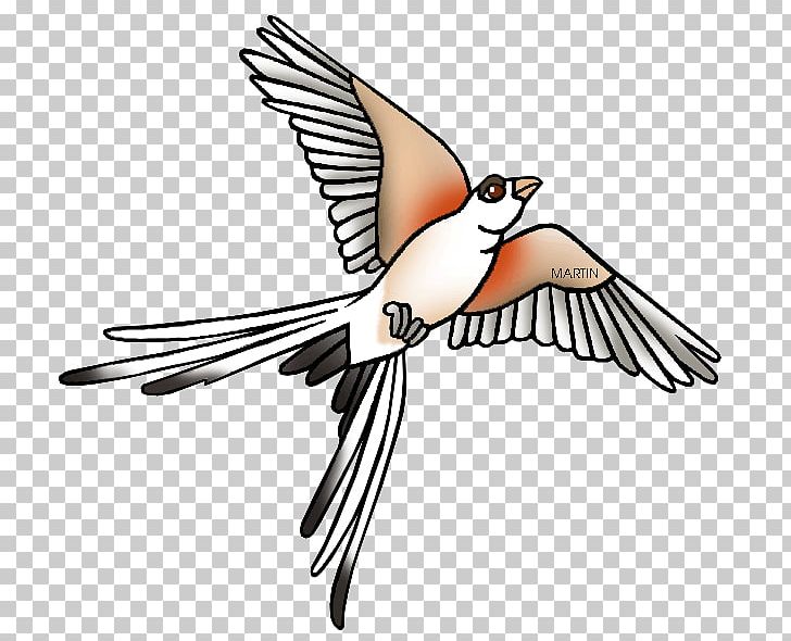 Oklahoma Scissor-tailed Flycatcher Free Content PNG, Clipart, Beak, Bird, Computer Icons, Drawing, Fauna Free PNG Download