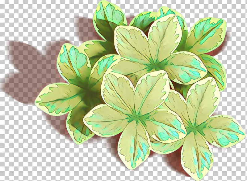 Leaf Flower Plant Petal Symbol PNG, Clipart, Flower, Geranium, Leaf, Petal, Plant Free PNG Download