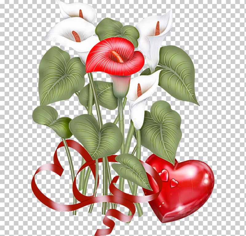 Red Flower Plant Leaf Anthurium PNG, Clipart, Anthurium, Flower, Heart, Leaf, Petal Free PNG Download