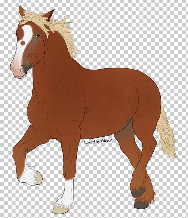 Mustang Mare Foal Stallion Rein PNG, Clipart,  Free PNG Download