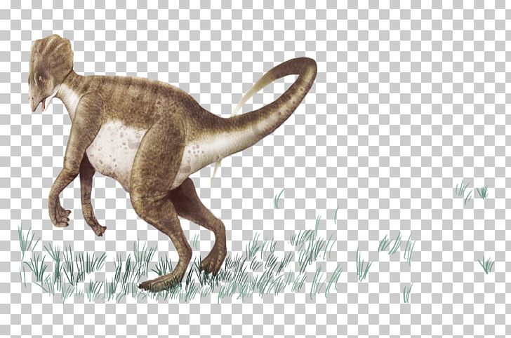 Prehistory Tyrannosaurus Dinosaur Euclidean PNG, Clipart, Animal, Bizi Prehistoriko, Carnivoran, Cartoon Dinosaur, Cat Like Mammal Free PNG Download