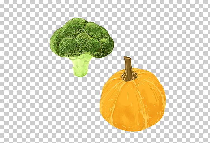 Pumpkin Vegetable Oil Broccoli Food PNG, Clipart, Broccoli, Cauliflower, Celery, Cooking, Cooking Oil Free PNG Download