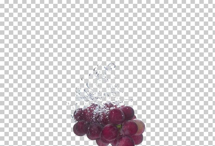 Red Wine Merlot Champagne Cabernet Sauvignon PNG, Clipart, Blackcurrant, Black Grapes, Bubble, Cabernet Sauvignon, Champagne Free PNG Download