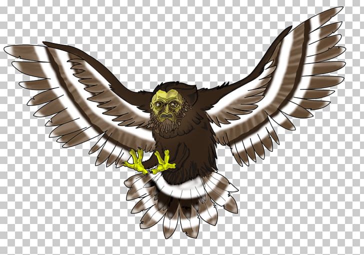 Eagle Owl Fauna Hawk Beak PNG, Clipart, Animals, Beak, Bird, Bird Of Prey, Eagle Free PNG Download