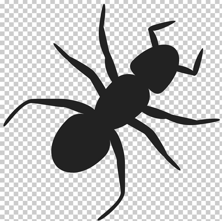 Ant PNG, Clipart, Ant, Arachnid, Arthropod, Bed Bug, Black And White Free PNG Download