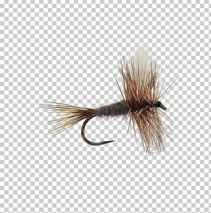 Artificial Fly Fly Fishing Insect Emergers PNG, Clipart,  Free PNG Download