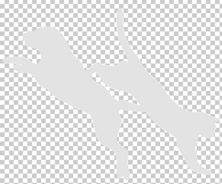 Dog Cat Finger White Mammal PNG, Clipart, Animals, Arm, Black And White, Canidae, Carnivoran Free PNG Download