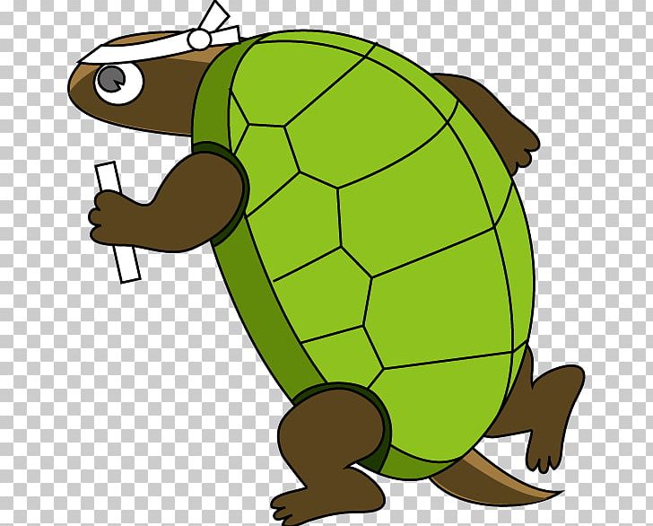 Turtle The Tortoise And The Hare PNG, Clipart, Animals, Animation, Artwork, Fauna, Organism Free PNG Download