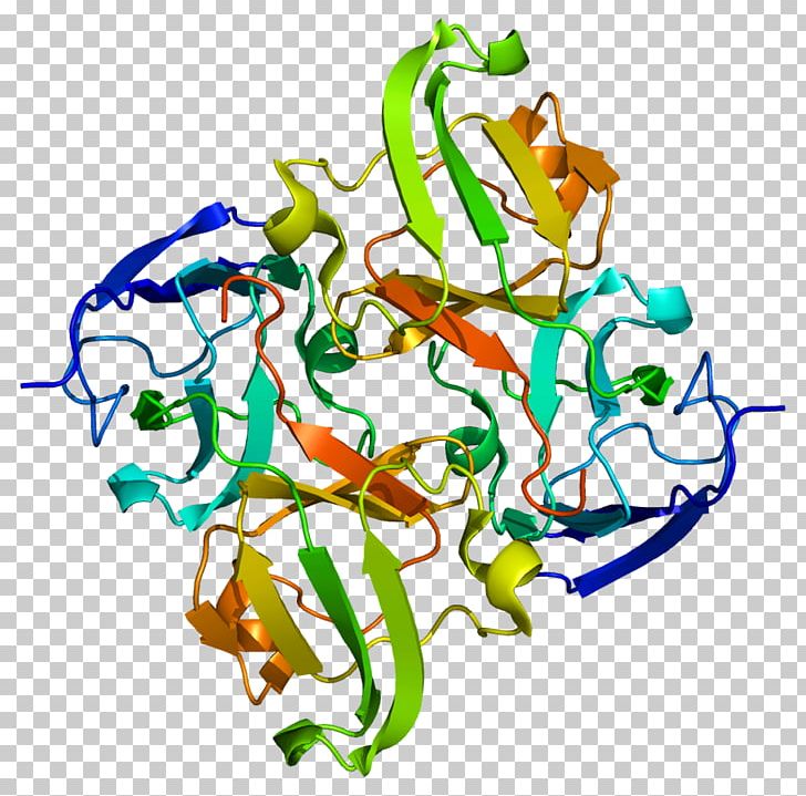 CRYBB1 Photopsin Crystallin Protein Wikipedia PNG, Clipart, Area, Art, Artwork, Congenital Cataract, Crystallin Free PNG Download