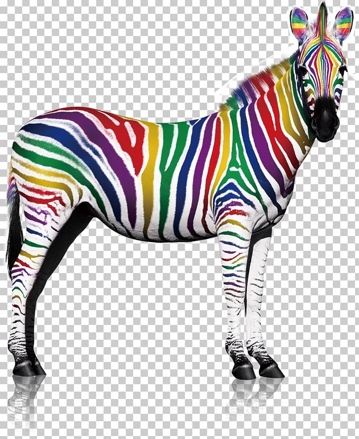 Quagga Zebra Lacquer Printing PNG, Clipart, Animal, Animals, Beautiful, Business, Color Free PNG Download
