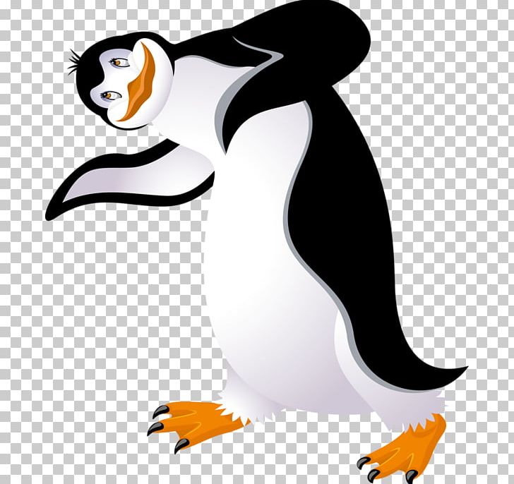 Baby Penguin Bird King Penguin PNG, Clipart, Animal, Animals, Artwork, Baby Penguin, Beak Free PNG Download