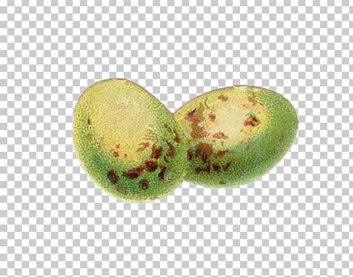 Die Cutting Kiwifruit Easter Paper Clip PNG, Clipart, Cut Here, Die Cutting, Easter, Easter Egg, Food Free PNG Download