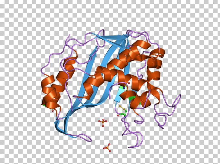 Thymidylate Synthase Thymidine Monophosphate Catalysis Deoxyuridine Monophosphate PNG, Clipart, Art, Catalysis, Chemistry, Conditions, Deoxyuridine Monophosphate Free PNG Download