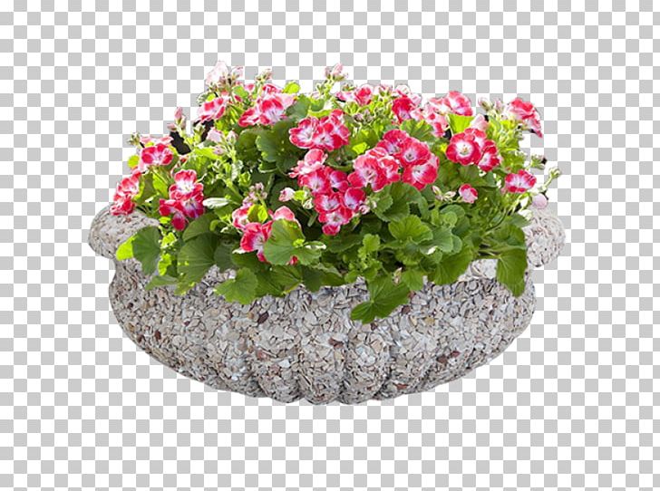 Floral Design Вазон Flower PNG, Clipart, Annual Plant, Cachepot, Chaenostoma Cordatum, Concrete, Desktop Wallpaper Free PNG Download