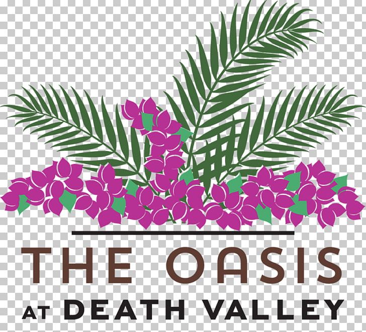 Oasis At Death Valley Furnace Creek Hotel Resort Park PNG, Clipart, Accommodation, Area, Arecales, Branch, Death Valley Free PNG Download
