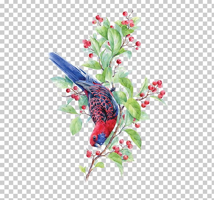 Watercolor Painting Drawing Illustration PNG, Clipart, Beak, Behance, Bird, Birdandflower Painting, Bird Cage Free PNG Download