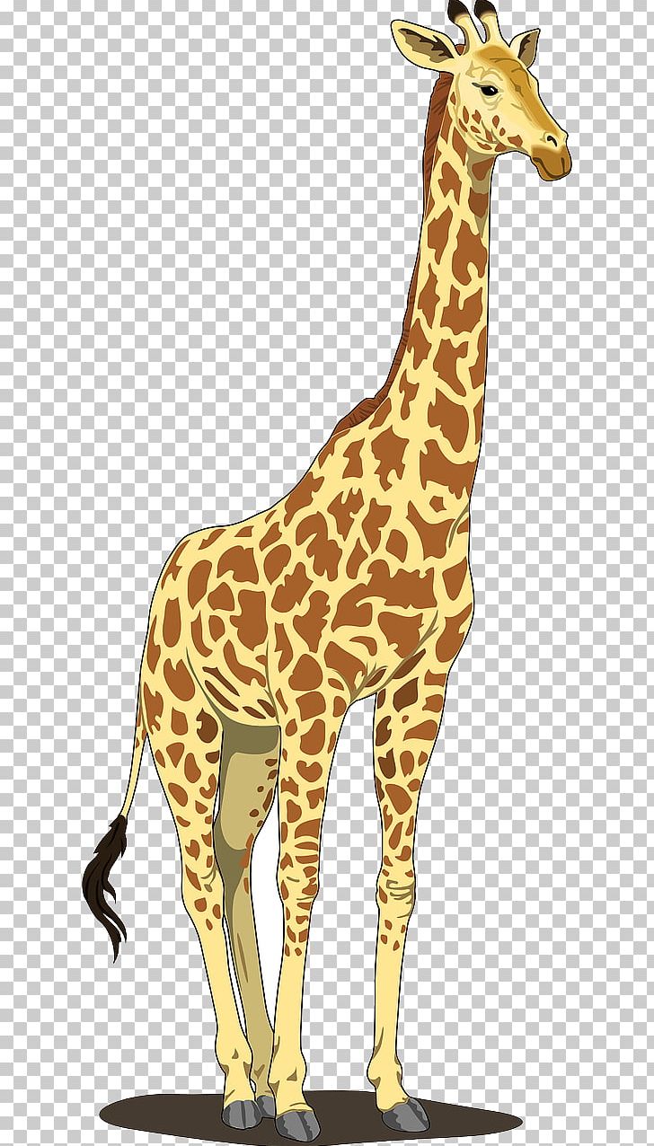 Giraffe IPhone 6 PNG, Clipart, Animal Figure, Animals, Clip, Drawing, Fauna Free PNG Download