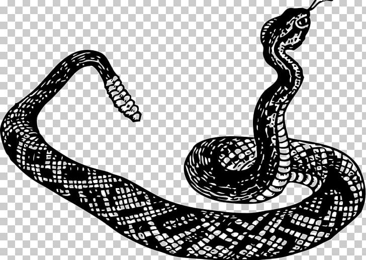 Rattlesnake Cobra PNG, Clipart, Black And White, Boa Constrictor, Boas, Cobra, Drawing Free PNG Download
