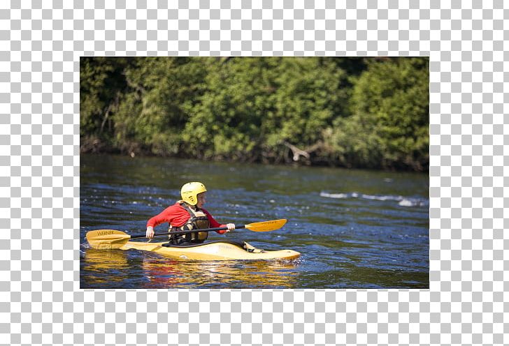 Sea Kayak Whitewater Kayaking New Hampshire Canoe PNG, Clipart, Adventure, Bayou, Boat, Canoe, Canoeing Free PNG Download