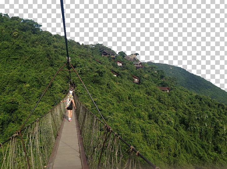 Wuzhizhou Island Yalong Bay Tropic Paradise Forest Park Tianya Haijiao U067eu0627u0631u06a9 U062cu0646u06afu0644u06cc PNG, Clipart, Amusement Park, Attractions, Blue, Bridge, Famous Free PNG Download