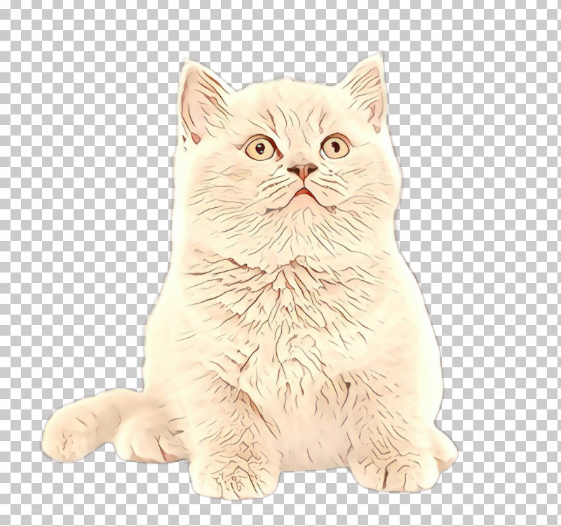 Cat Small To Medium-sized Cats Whiskers British Shorthair Persian PNG, Clipart, American Bobtail, Animal Figure, Asian, British Longhair, British Shorthair Free PNG Download