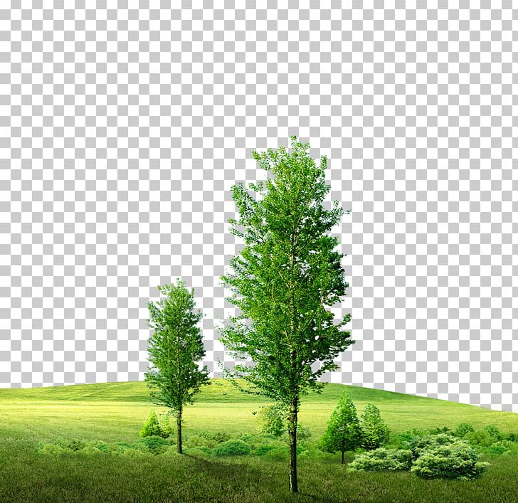 Green Icon PNG, Clipart, Art, Background, Background Green, Biome, Computer Wallpaper Free PNG Download