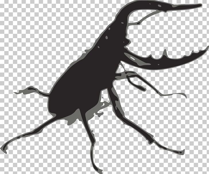 Stag Beetle Lucanus Cervus PNG, Clipart, Animal, Animals, Arthropod, Artwork, Beetle Free PNG Download