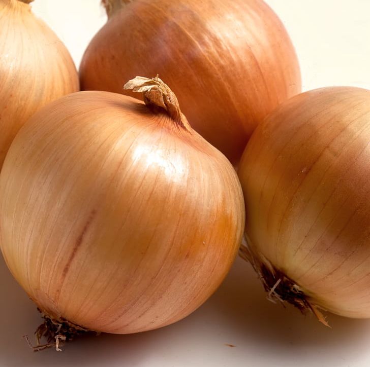 Ukraine Onion Seed Price Cultivar PNG, Clipart, Artikel, Bulb, Calabaza, Chia Pet, Cultivar Free PNG Download